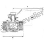 VBSIFF.1-1/4 VANNE 1/4T FF INOX 316 PI - PN50 - TMS -20 A + 180°C