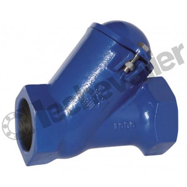 CARBFT.40 CLAPET ANTI RETOUR BOULE G1-1/2 PN10 FONTE EPOXY FAF=138mm