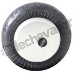 DBS102001 VERIN SERTI 2 LOB 3/4 8B TMS: -30°C à +70°C - PNEUMATIS