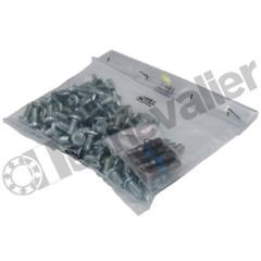 KIT 31-27 - VIS M5X16 LOT 100 VIS RAIL ROLLON
