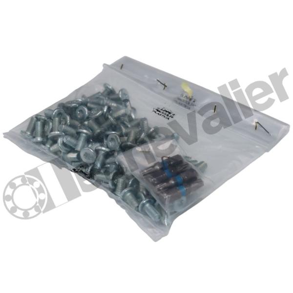 KIT 31-33 - VIS M8X20 LOT 50 VIS RAIL ROLLON