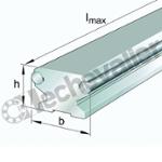 LFS20-OL-RB RAIL DE GUIDAGE INOX LE M. - INA