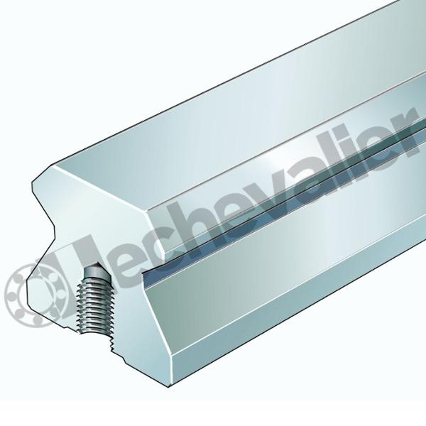 TSX25-D-U-G0 RAIL DE GUIDAGE TARAUDE LE M. - INA