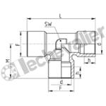 X2003 1/4 TE F.F.F. INOX 316L 1/4 BSPP - CAMOZZI
