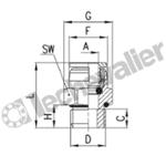 X6512 6-1/4 PIQUAGE MALE 1/4-D6 M1/4 BSPP - AISI 316-  CAMOZZI