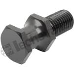 K2044.16 TRAGSCHRAUBEN VDI 3366, M16, D1=16,