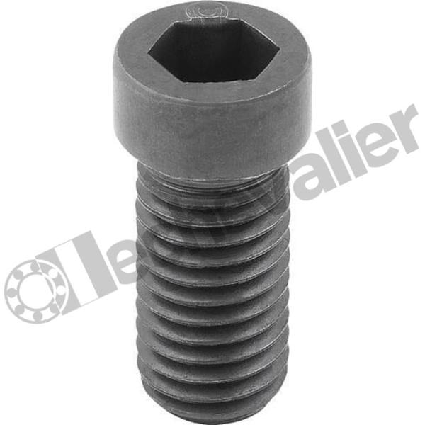 K1969.1020 VIS EXCENTRIQUE M10X20, FORME:A, AC